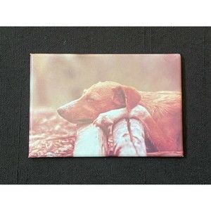 Resting Sleeping Dog Magnet VINTAGE